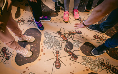 Otvoreni dan Instituta Ruđer Bošković – #scihill