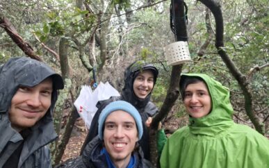 Prvi ovogodišnji teren na Brijunima