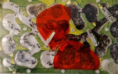 Edukativna manifestacija Brijuni na dlanu